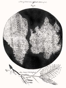 Robert-Hooke-Micrographia-1665